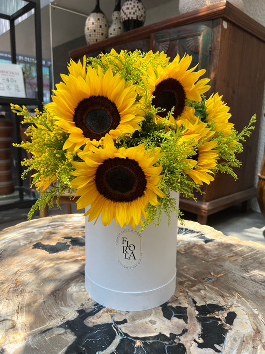 SUNFLOWER